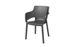 Elisa Dining Chair Set of 6 - Grey