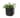 Sites-keter-ES-Site