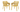 סט אליסה בלקוני - צהוב-חרדל