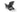 Troy Adirondack Tuinstoel - set van 2 - 81x80x96,5cm - Antraciet
