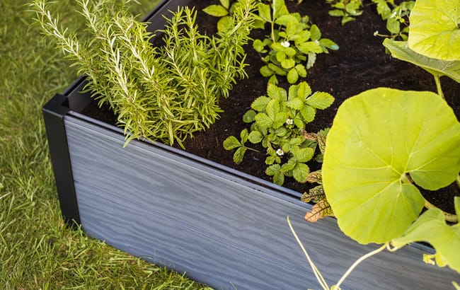 Graphite Maple Resin Raised Garden Bed - Keter US