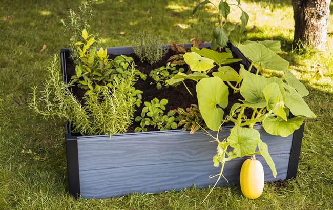 Graphite Maple Resin Raised Garden Bed - Keter US