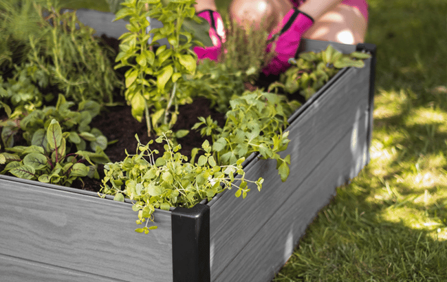 Graphite Maple Resin Raised Garden Bed - Keter US