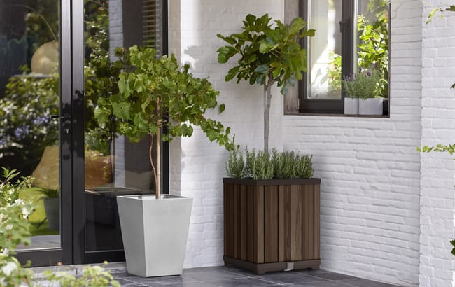Self Watering Rosewood Brown Square Tall Planter - Keter US