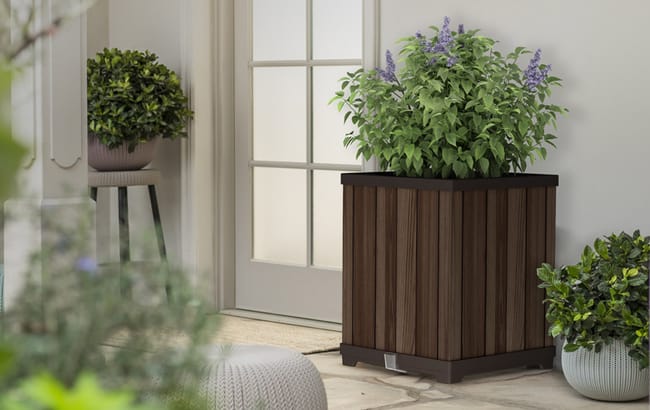 Self Watering Rosewood Brown Square Tall Planter - Keter US