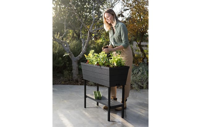 Urban Bloomer Elevated Garden Bed - Grey