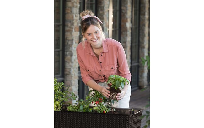 Maple Elevated Garden Bed - Brown