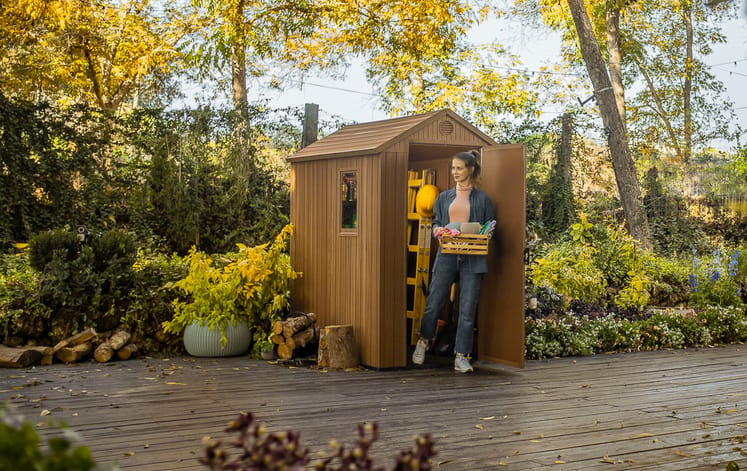 Darwin Shed 6x4ft - Brown