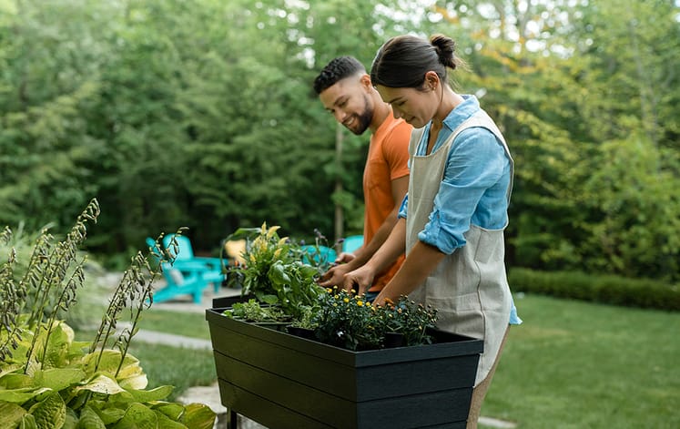 Urban Bloomer Elevated Garden Bed - Grey