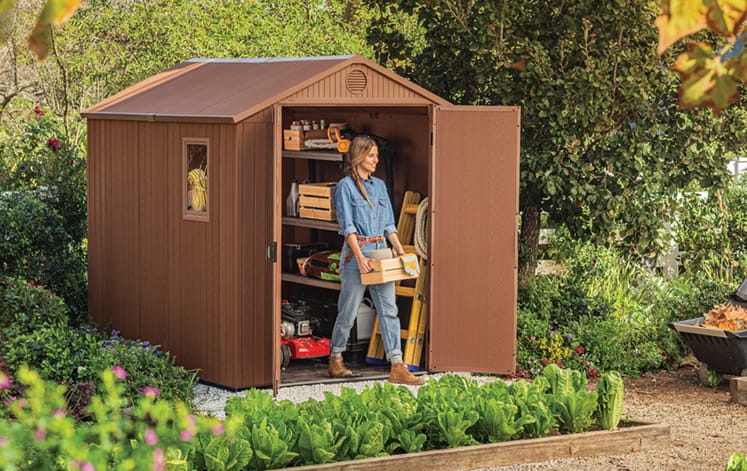 Darwin Shed 6x8ft - Brown