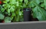 Graphite Darwin 29 Gallon Raised Garden Bed - Keter US