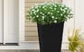 Taper Square Planter 37cm Set of 2 - Grey