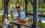 Signature Grill Gazebo - Ashwood Brown 