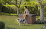 Darwin Brown 150 Gallon Storage Deck Box - Keter US