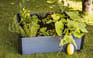 Graphite Maple Resin Raised Garden Bed - Keter US