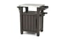 Buy Unity BBQ & Storage Table with Stainless Steel Countertop - Keter Canada