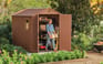 Darwin Shed 6x8ft - Brown